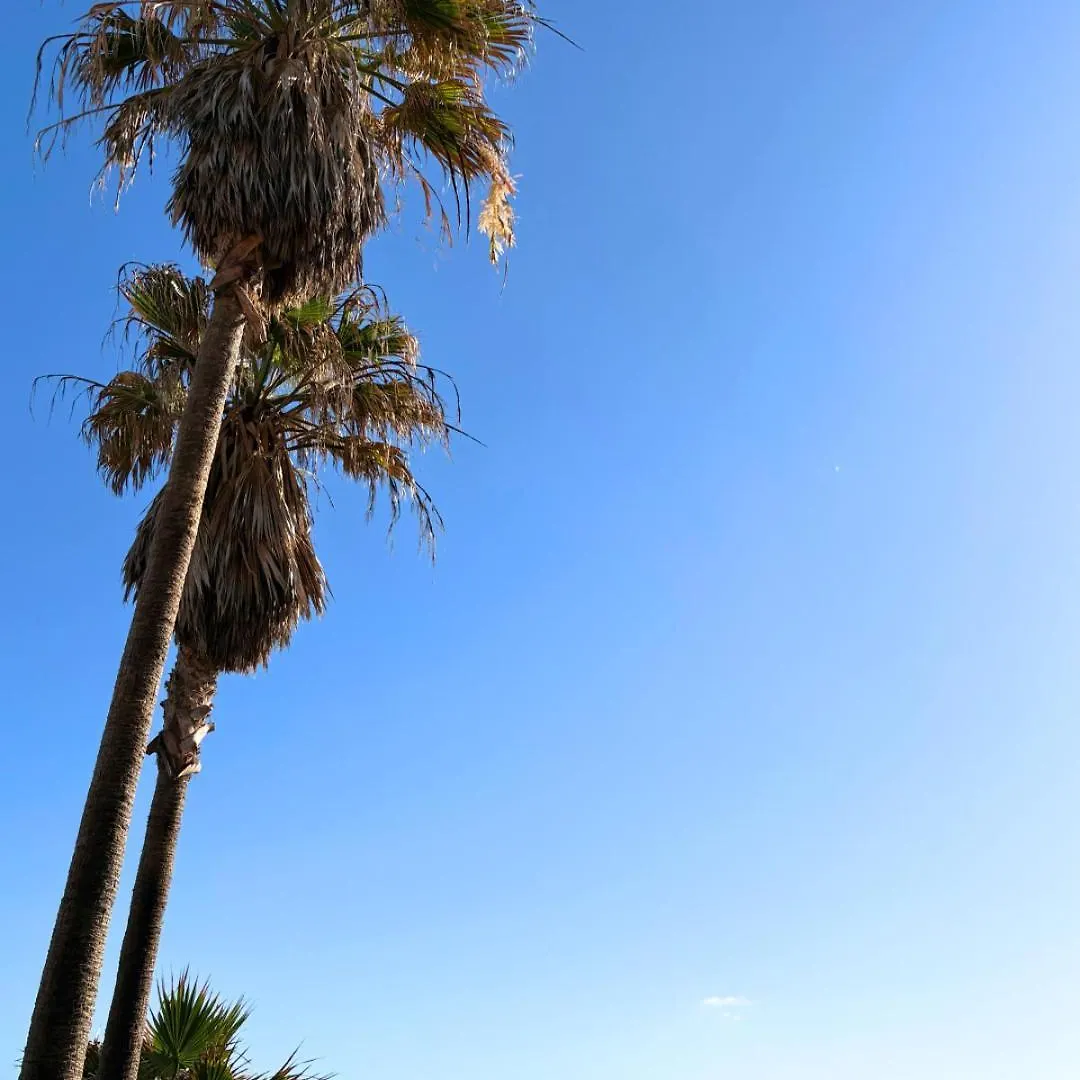 Beachfront Villa - La Casa Del Mar コラレホ スペイン